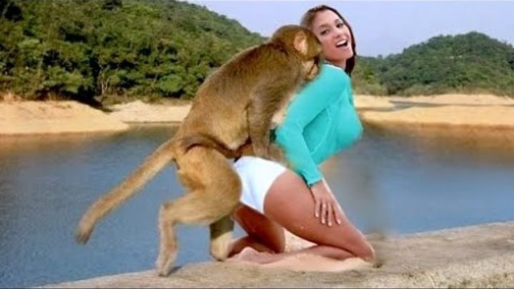 Девушка совокуплялась с. Девушка и обезьяна. Озабоченные животные и люди. Женщина совокупляется с шимпанзе.