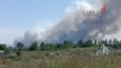 На Николаевщине в селе Андреевка горит лес.  Тушение пожара ...
