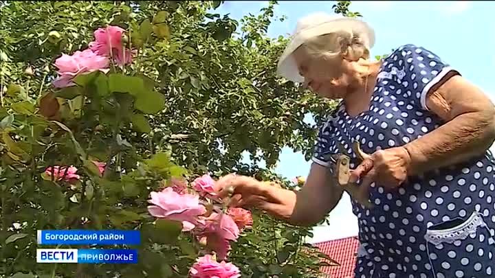 Горьковское ТВ начиналось в ГРТУ ПВО