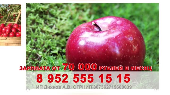 Сбор яблок 70 000