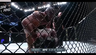 UFC279 Битвы взглядов