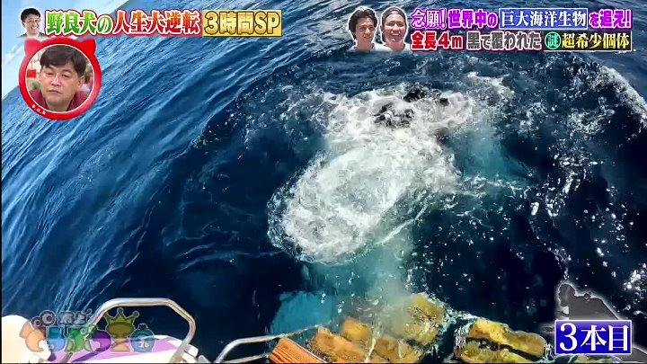 坂上どうぶつ王国 動画　 髙橋海人の人生をかけた夢！世界中の巨大海洋生物を追え | 2022年9月16日