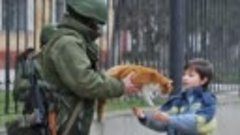 Российские солдаты и коты.