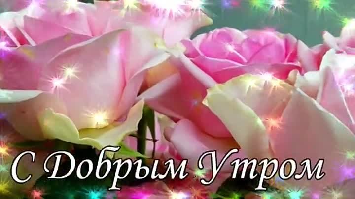 С ДОБРЫМ УТРОМ 2 Сентября!🌼Желаю Самого Доброго Солнечного Утра!🌼