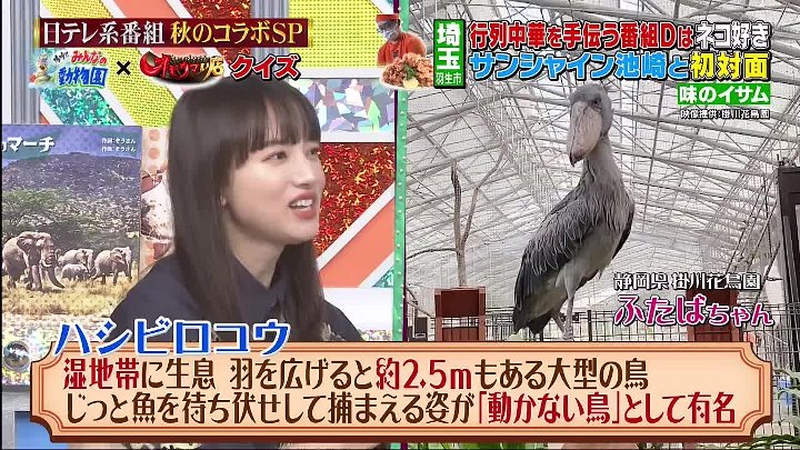 日テレ系人気番組 動画 3時間コラボSP 24番組61人超豪華ゲスト一夜限り夢のコラボ | 2022年9月24日