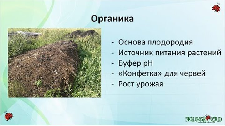 Закон о плодородии. Методы оздоровления почвы. Что такое основа плодородия. Оздоровление почвы.