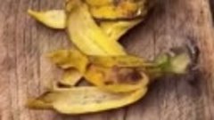 Полезные свойства банановой кожуры