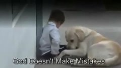 Творец не делает ошибок. Любовь собаки к малышу с синдромом ...