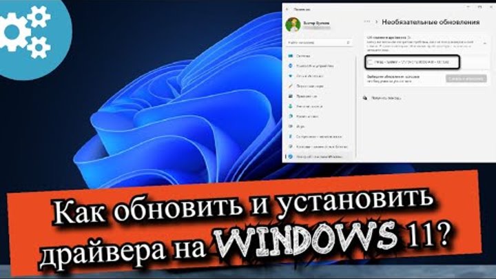 Как обновить и установить драйвера на Windows 11?