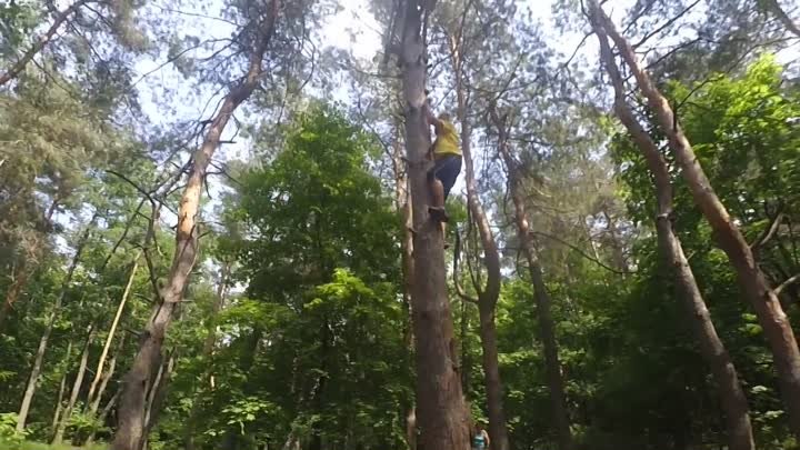 Первый день лета 2017 г.