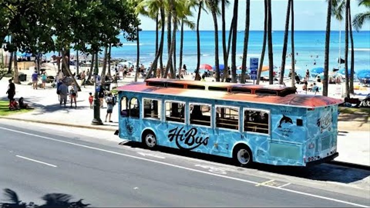 Waikiki Trolley Blue Line - Honolulu Hawaii