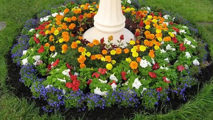 Красивые простые клумбы фото Красивые простые клумбы фото