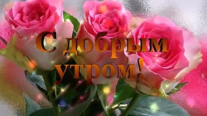 ❤️Доброе утро!❤️Пусть день будет ясным. Хорошего дня!