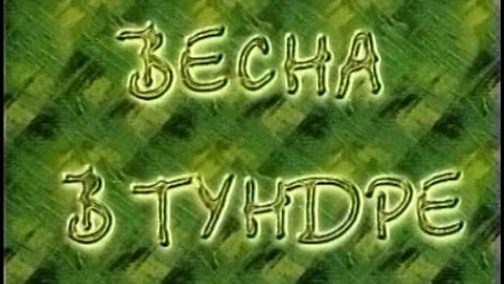 Весна в тундре (Телефильм, 2002) / Из фондов ГТРК «Коми Гор»