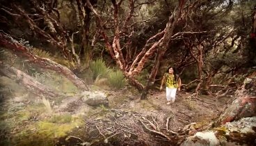 Leo Rojas - El Condor Pasa (Offizielles Video)