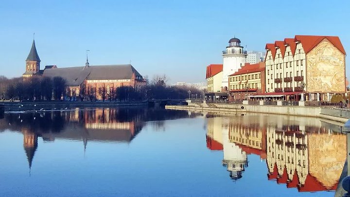 Мир фото калининград Мир фото калининград