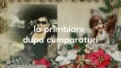  la primblare   dupa cumparaturi