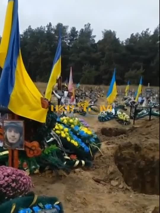 Вдовы на украине. Украинские вдовы. Потери Украины. Херсон сдали Украине.