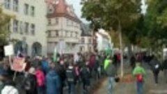 Жители немецкого города Цвиккау вышли на протесты против ант...