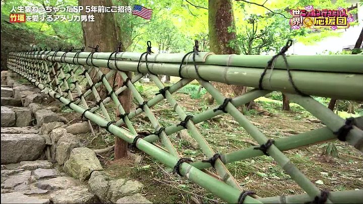 ニッポン行きたい人 動画 京都1200年の伝統“竹垣”を愛するアメリカ人が世界遺産 | 2022年10月31日