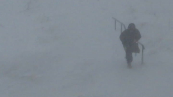 1 декабря 2021 г. Амурск- снежный циклон к обеду усилился