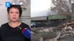 Около 8 500 человек получили льготные выплаты на покупку быт...