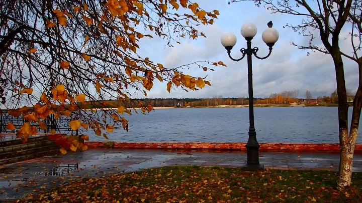 Гусь хрустальный набережная фото Гусь хрустальный набережная фото