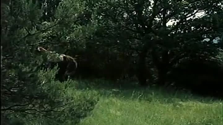 Знак орла (сериал 1977) Znak Orla Серия 13 (1977) 📺 A/*/R)