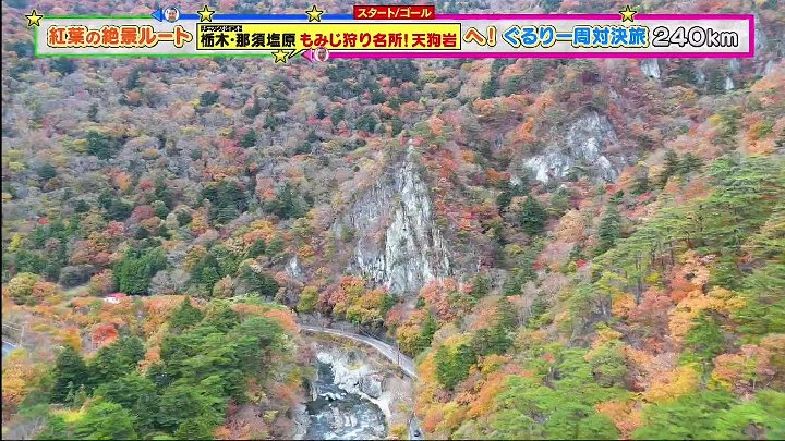 水バラ  動画 ぐるり一周対決旅 第２弾‼️ | 2022年11月9日