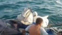 В Черном море спасли яхту с белорусскими туристами. Она пров...