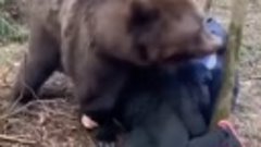 США: Медведи очень опасные животные 😱

Россия: 🥴


