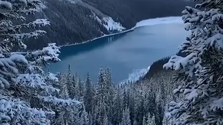 Если душа требует тишины, то идите на свидание с природой...