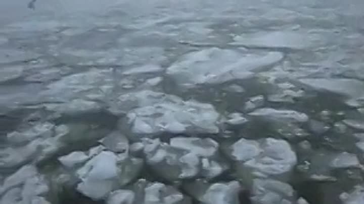 На Азовском море уже вовсю лед