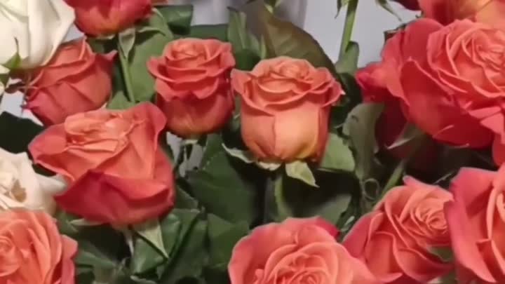 Акция!! Кидки 15% на розы Ecuador 60см.mp4