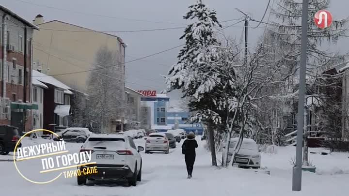 дежурный по городу