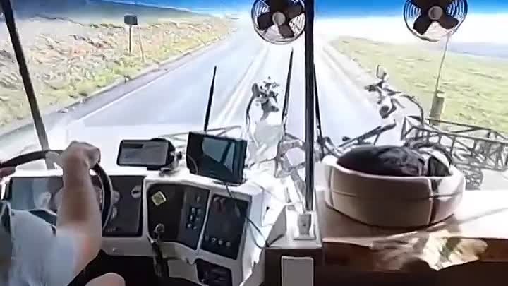 Путешествие по Колорадо на автобусе