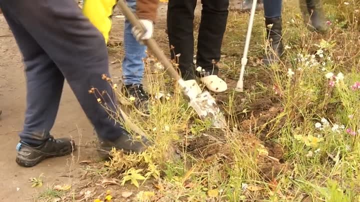 Кедр За Крышку - Новый Заряд 'Экобомбы'