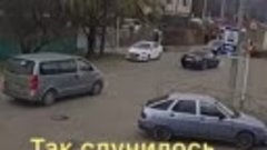 Собака