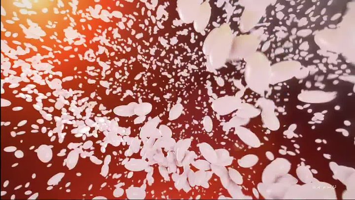 相葉マナブ 動画 今回で8回目となる毎年恒例の味噌づくりの季節 | 2022年11月13日