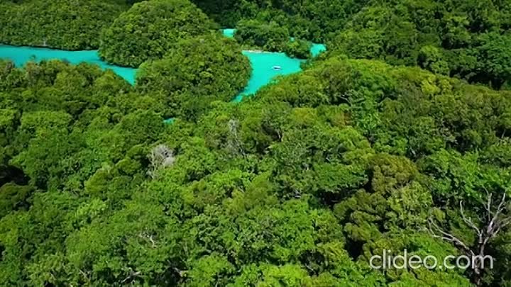 palau-rock-islands-amazing-planet-4k-2020_hwy4qtEZ