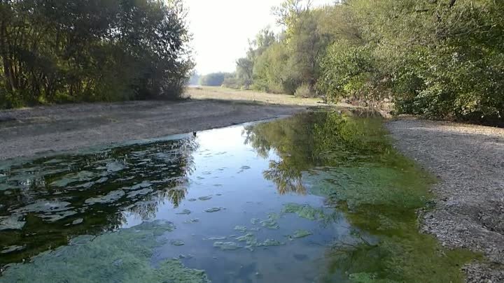 ОСЕНЬ, СОЛНЦЕ, И ВОДА