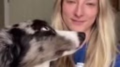 Как разные собаки реагируют на поцелуи 💋💋💋