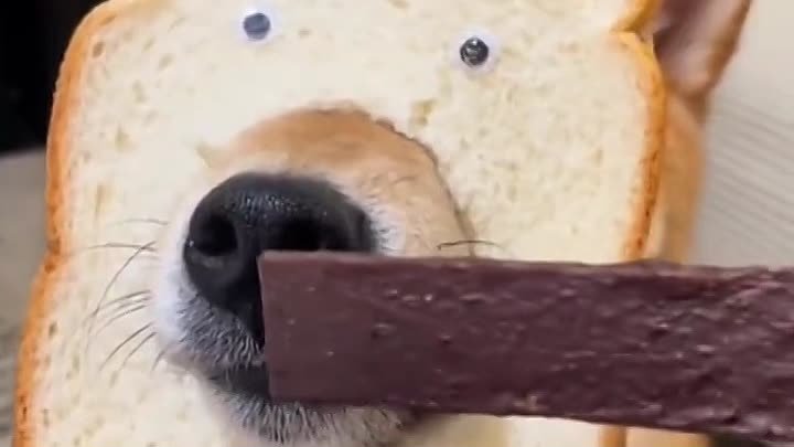 Новая порода - хлебный пёс
