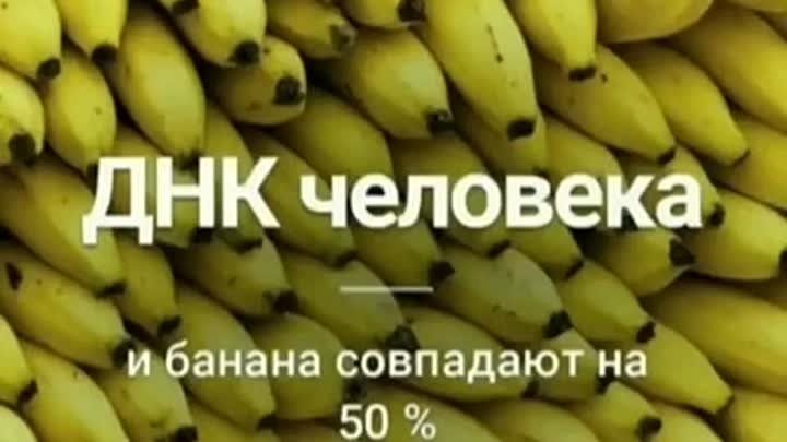 Интересные факты. 