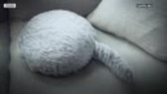 Подушка с хвостом