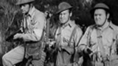 Two Yanks In Trinidad (1942) Pat O&#39;Brien, Brian Donlevy MacB...