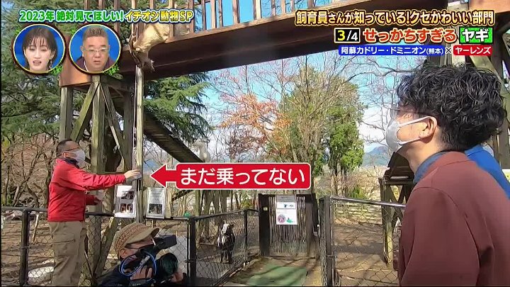 ＺＯＯ−１グランプリ 動画 サンドウィッチマンのどうぶつ園飼育員さんプレゼン合戦  | 2023年1月10日