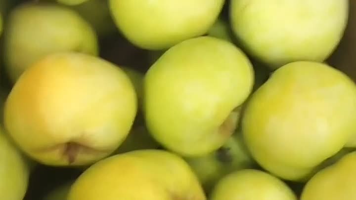 Антоновские яблоки в ЯФО-маркете