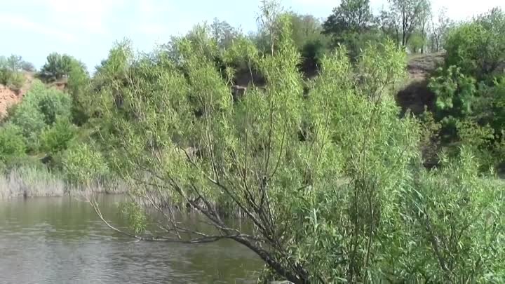 Річка Дохна від Бершаді до Лугової.Літо 2017 р(відео Вадима Рачинського)