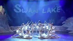 Great Chinese State Circus - Swan Lake